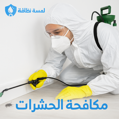 شركة مكافحة الحشرات بجدة