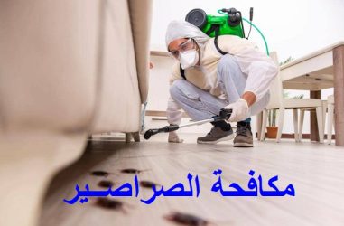 شركة مكافحة الصراصير بجدة